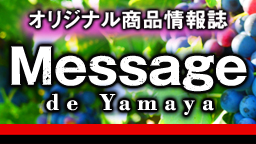 Message de Yamaya